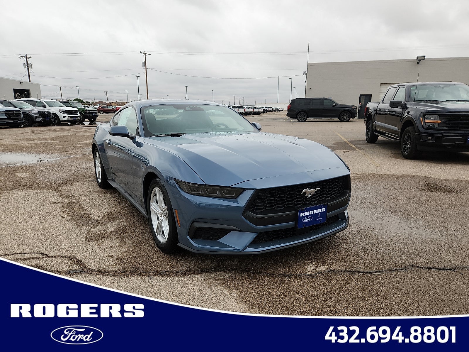 2026 Ford Mustang EcoBoost Fastback's photo