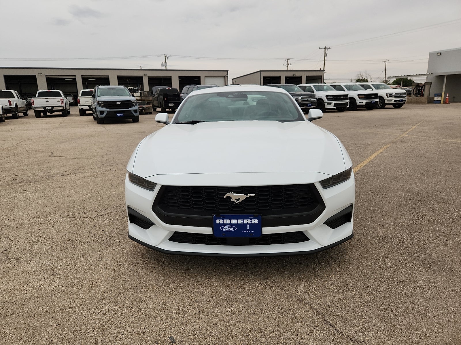 2026 Ford Mustang EcoBoost