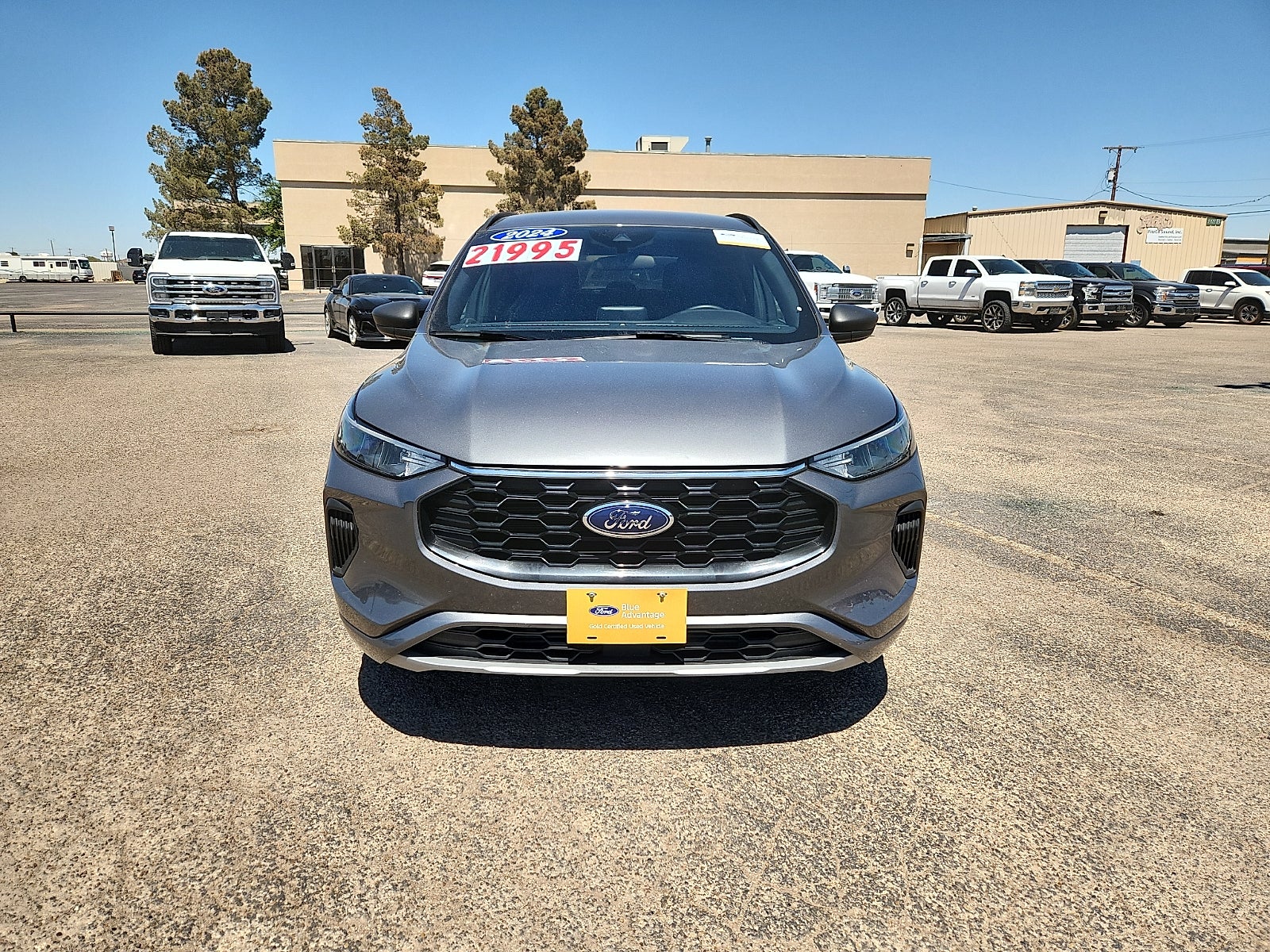 2024 Ford Escape ST-Line