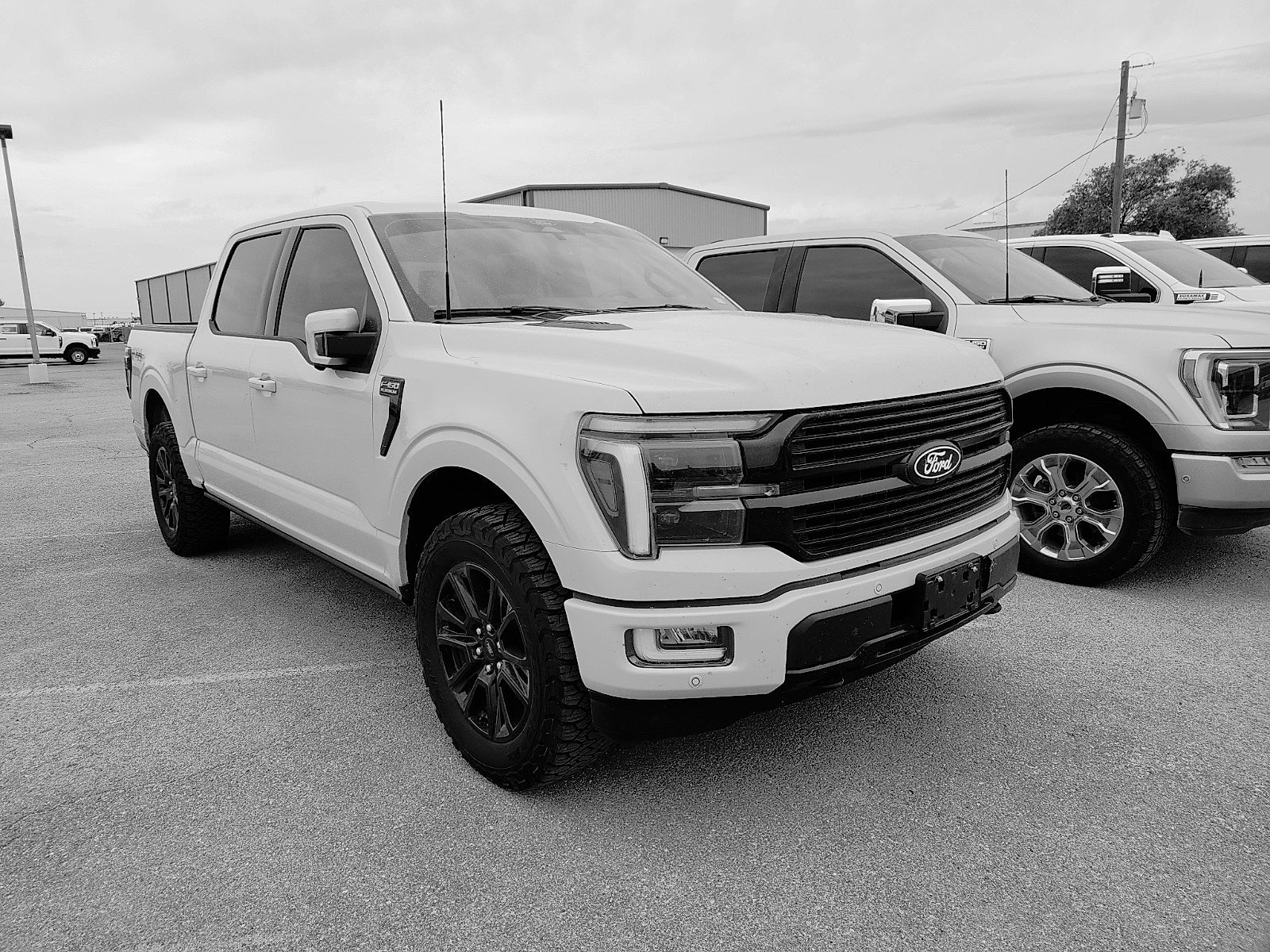 2025 Ford F-150 Platinum